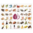 Aromaster: Master Wine Aroma Kits - 88 aromas (includes the Wine Aroma Wheel)
