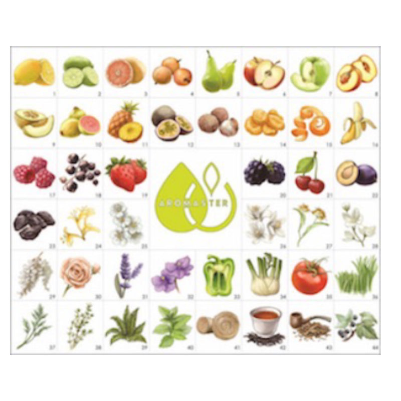 Aromaster: Master Wine Aroma Kits - 88 aromas (includes the Wine Aroma Wheel)
