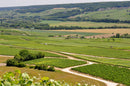 Champagne Adam Jaeger, Blanc de Blanc Brut Nature