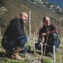 Domaine Berthollier, Mondeuse Les Granges Tissot - Vin de Savoie - Red 75 cl (Biodynamic)