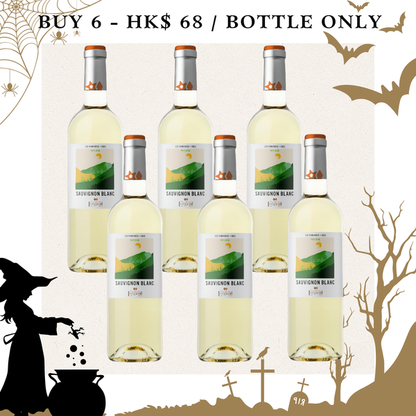 Lorgeril Les Terrasses Sauvignon Blanc 2023