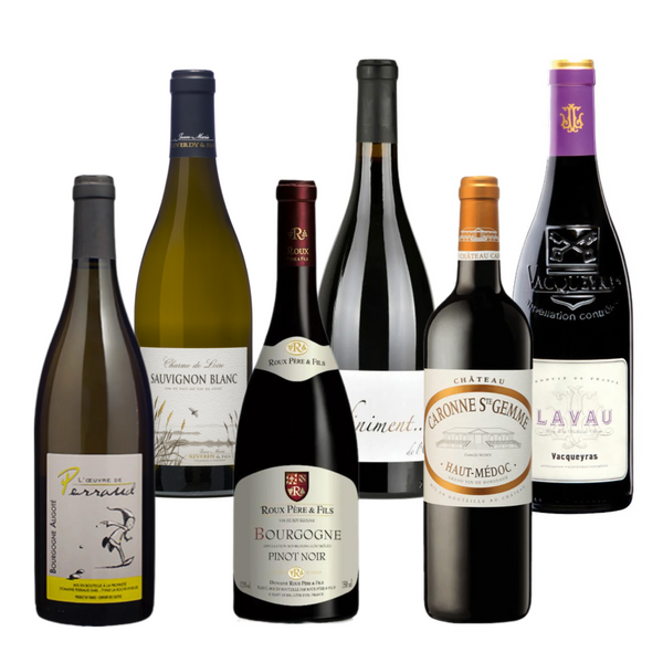 Your Everyday Essentials: 6-Bottles Wine Case