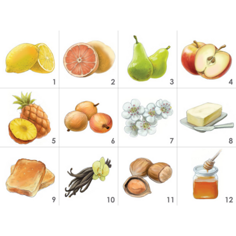 Aromaster: Wine Aroma Kits - 12 aromas (includes the Wine Aroma Wheel)