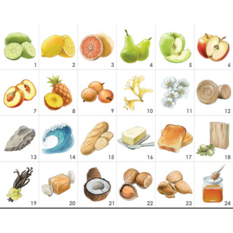 Aromaster: Wine Aroma Kits - 24 aromas (includes the Wine Aroma Wheel)