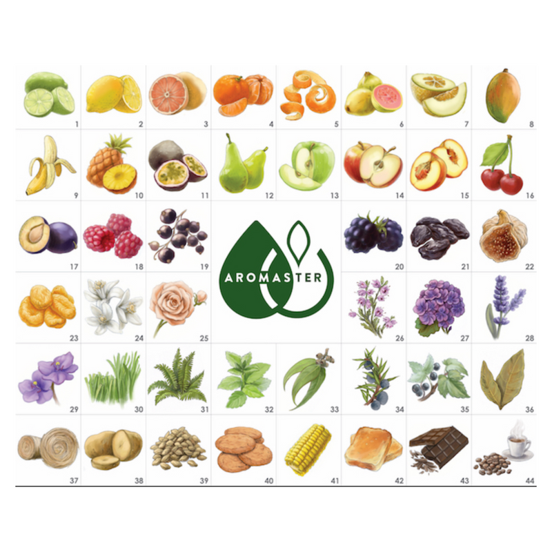 Aromaster: Master Whisky Aroma Kits - 88 aromas (includes the Whisky Aroma Wheel)
