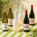 BBQ Wine Ready - 6 Bottles Wine Mixed Case (Pocket-friendly Version 1- 2 White, 2 Red, 2 Rose)